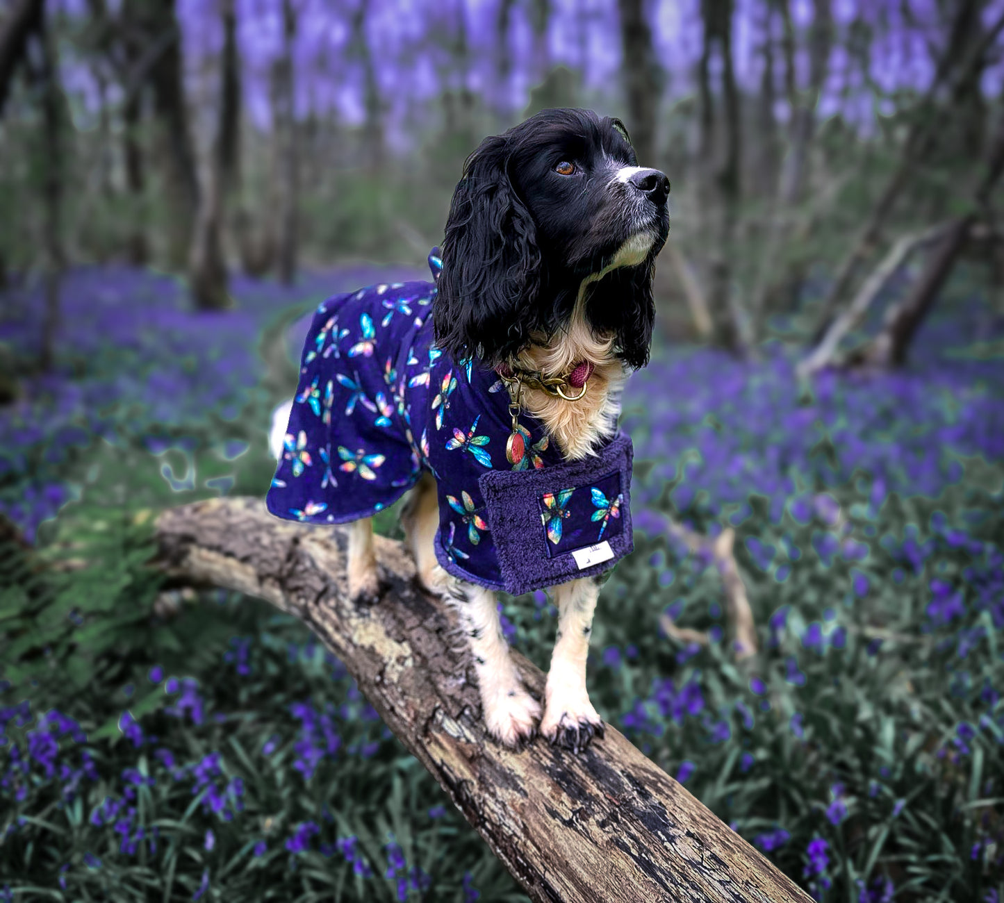 REP TAKEOVER Luxury Dog Drying Robes