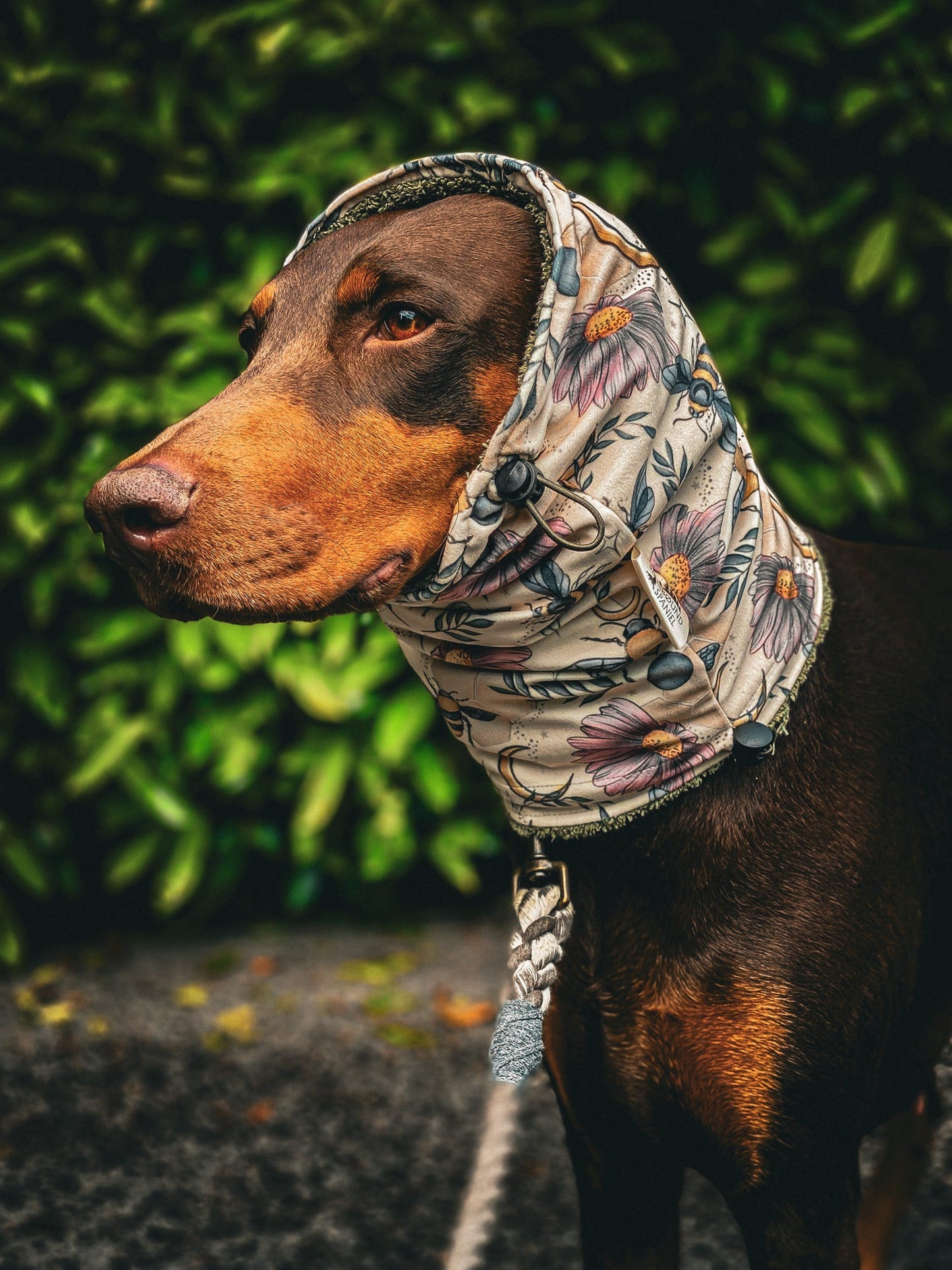 REP TAKEOVER Luxury Dog Drying Snoods