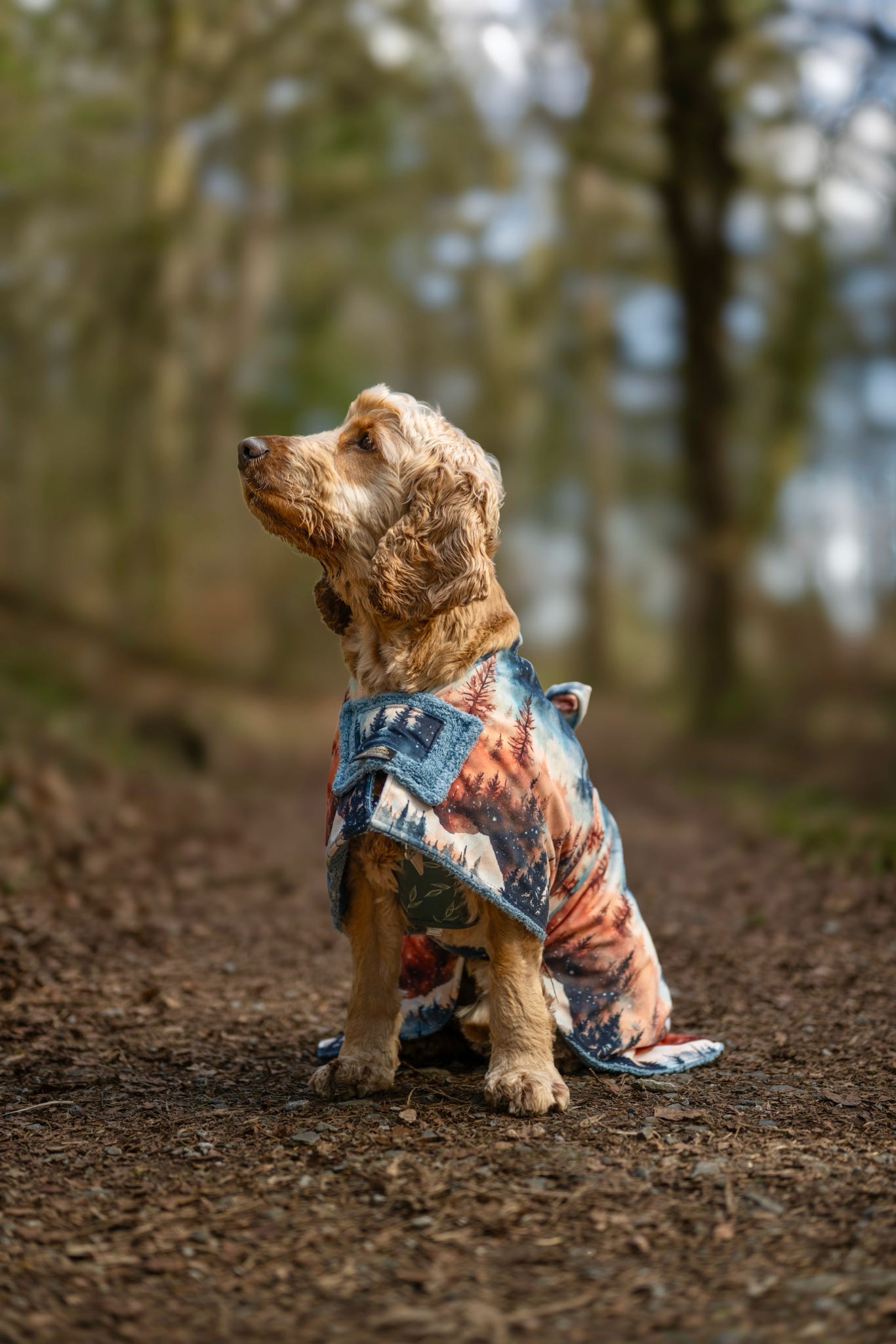 Luxury Dog Drying Robes (Made to Order)