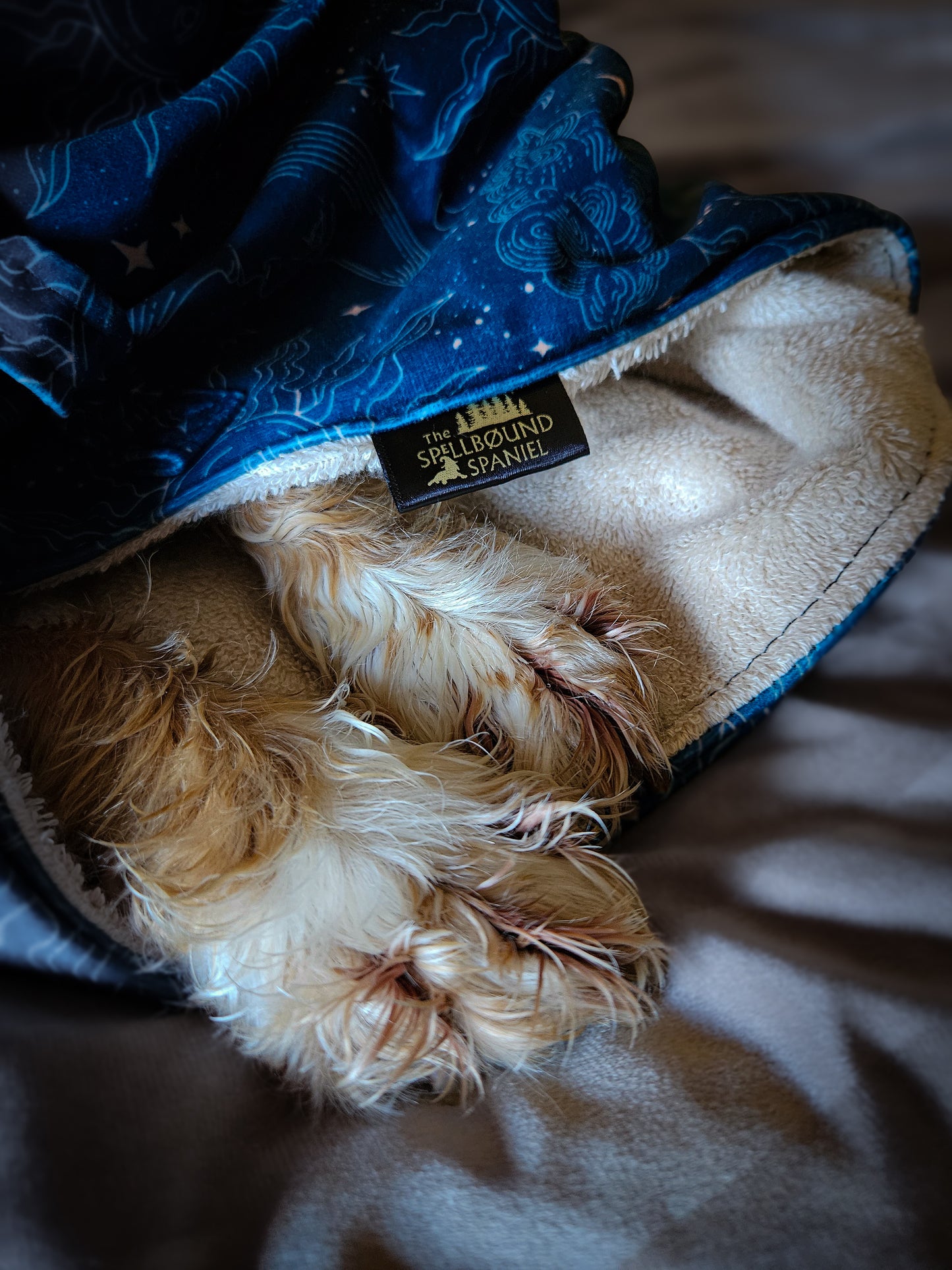 Luxury Dog Towel