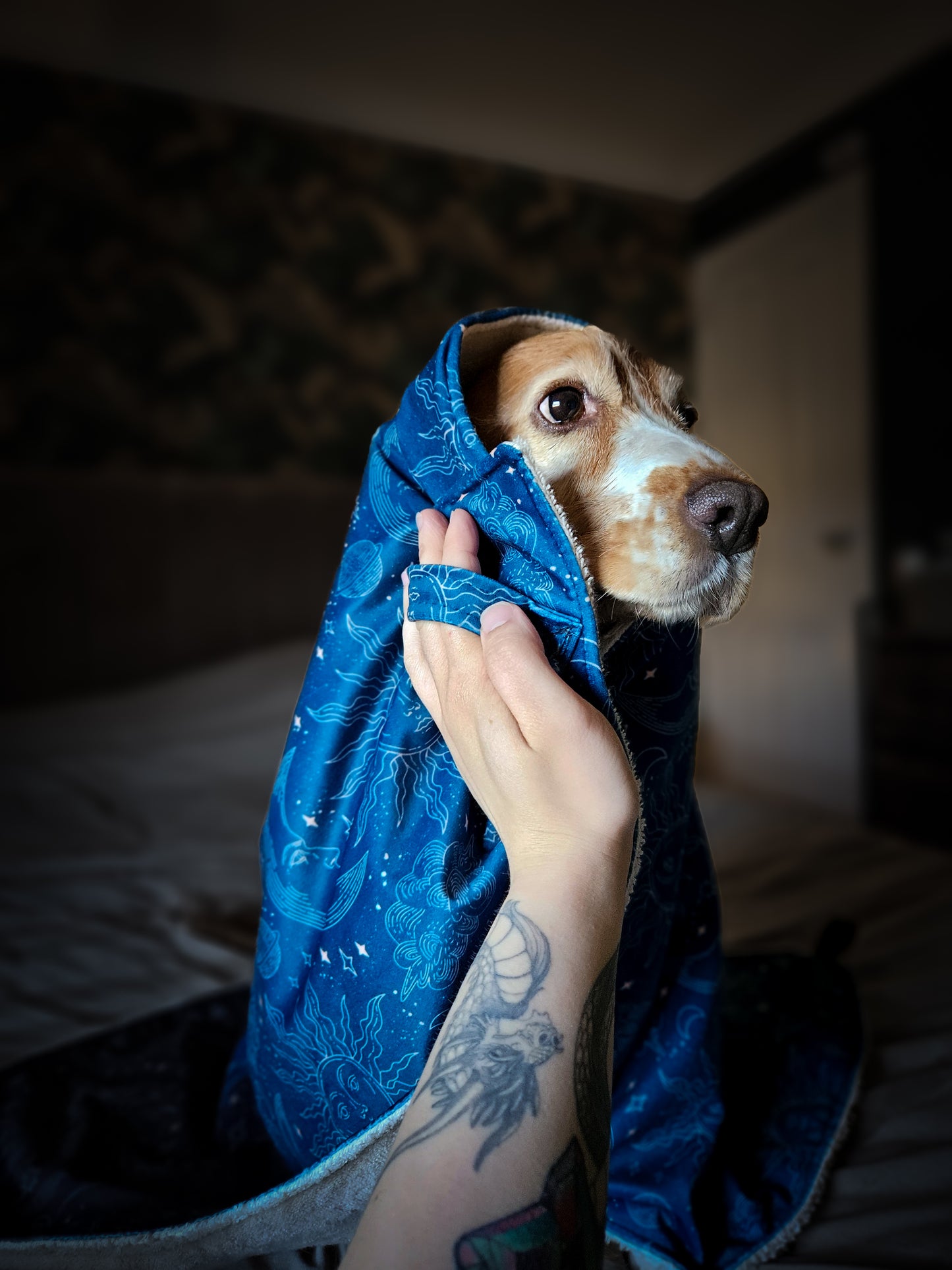 Luxury Dog Towel