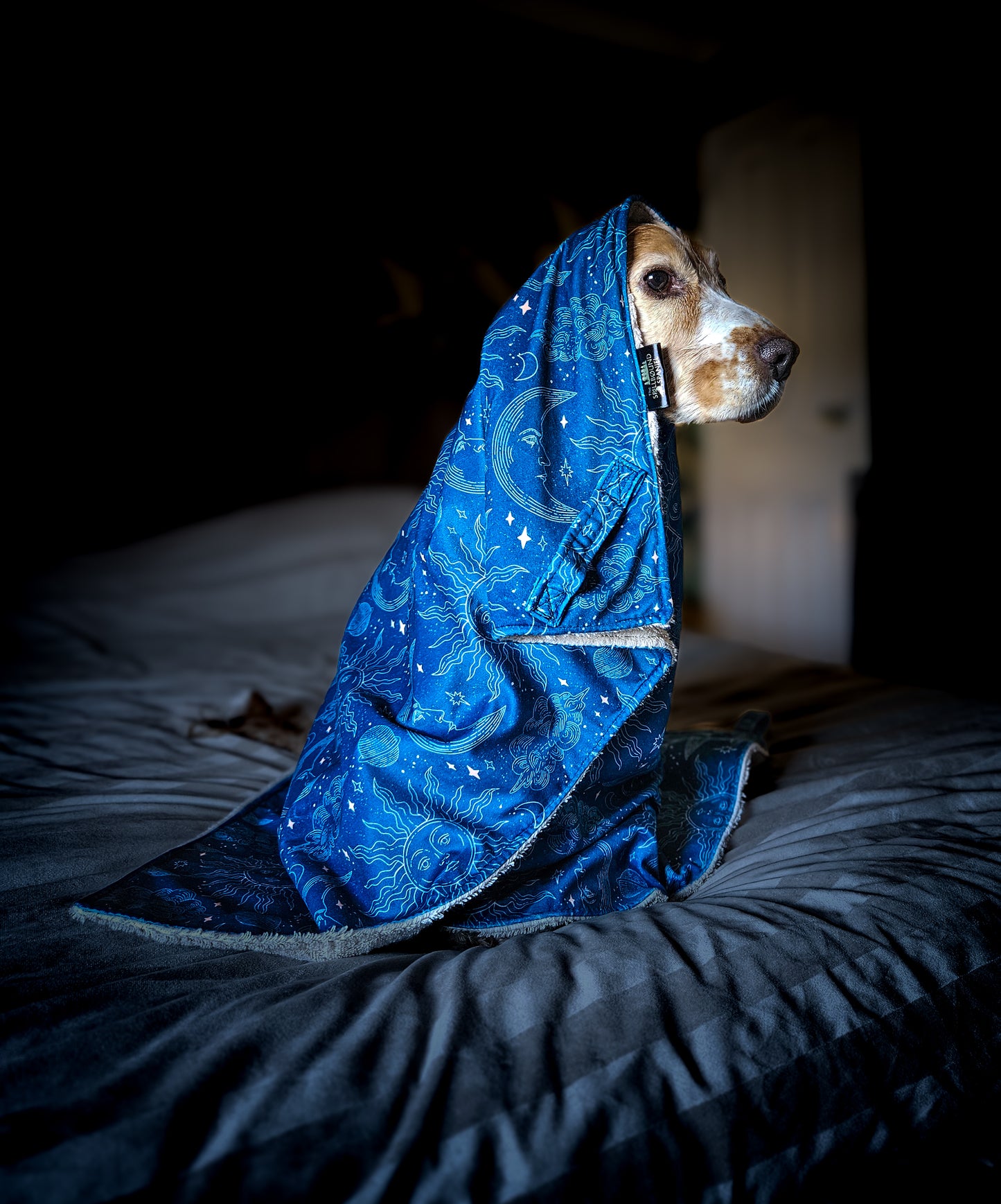 Luxury Dog Towel