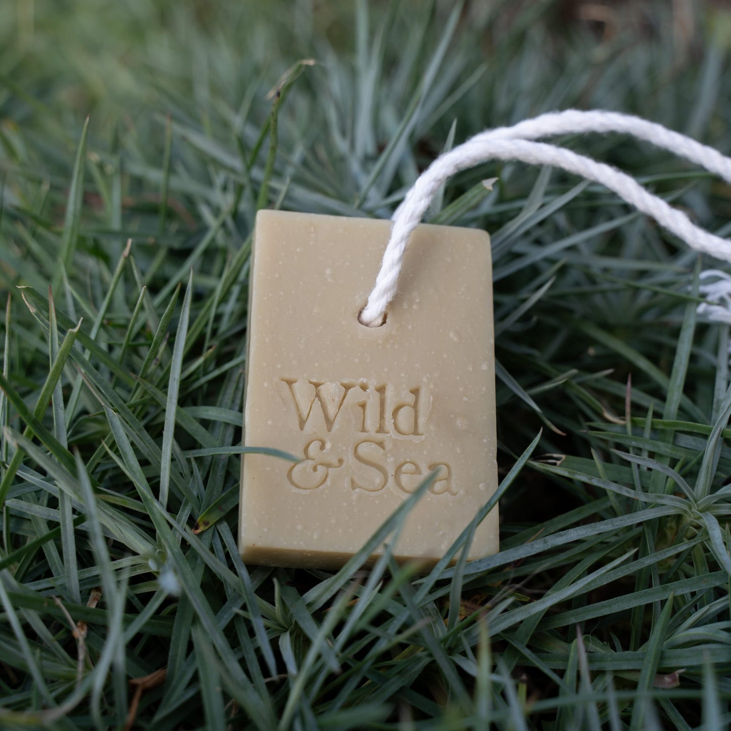 Wild & Sea 100% natural shampoo bar for dogs.