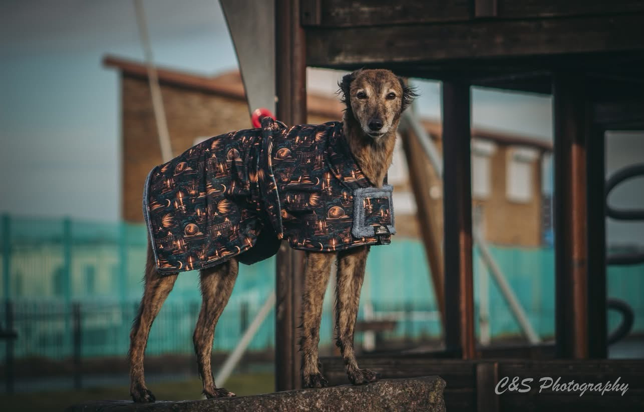 Luxury Dog Drying Robes (Made to Order)