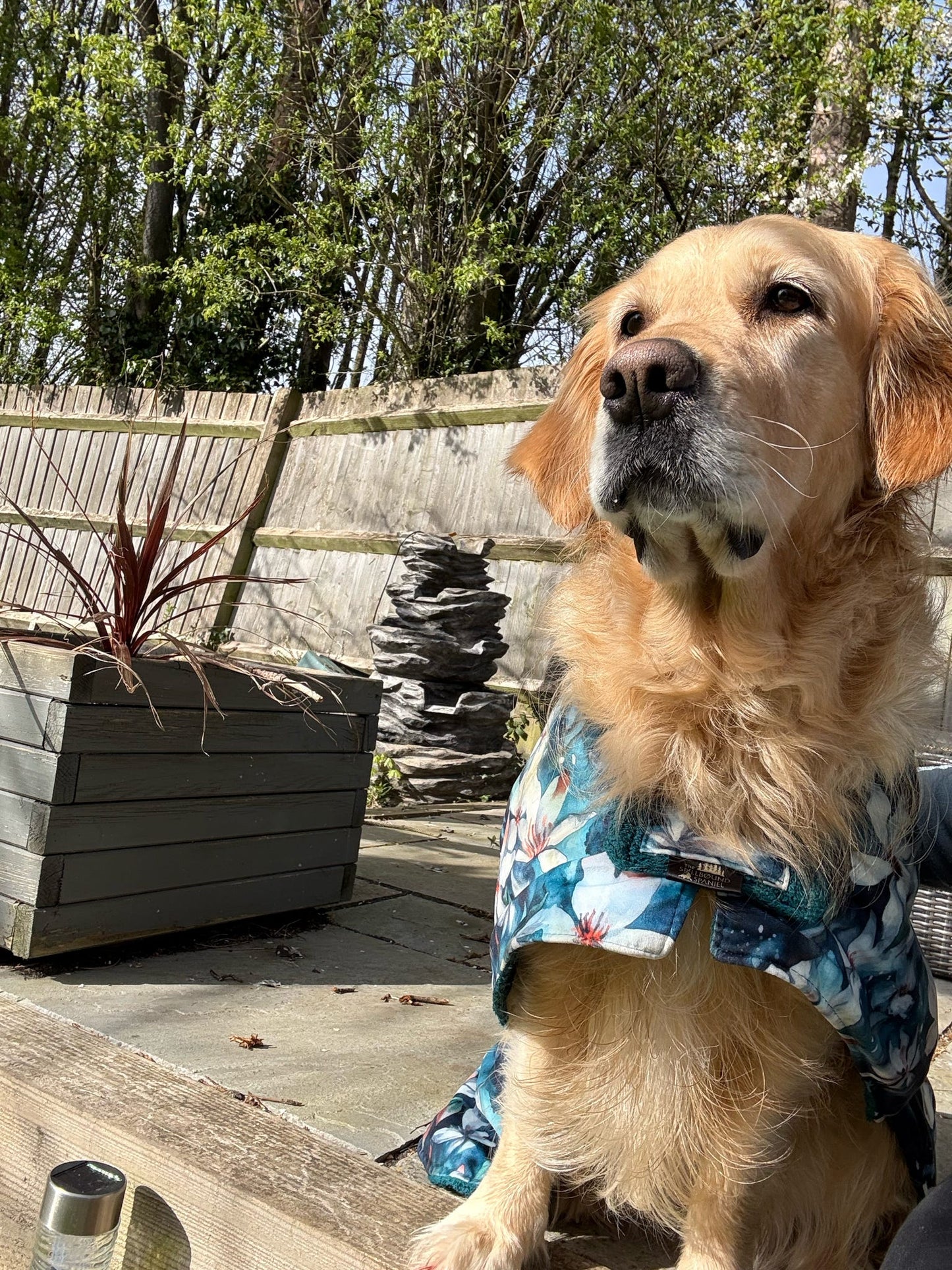Luxury Dog Drying Robes (Made to Order)