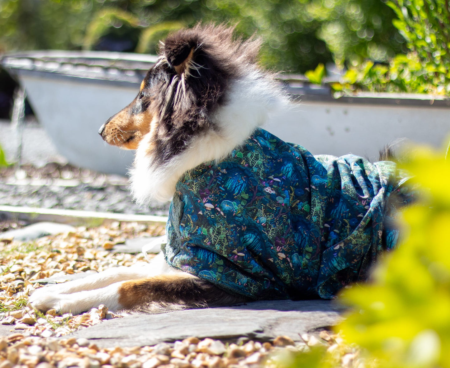Luxury Dog Drying Robes (Made to Order)