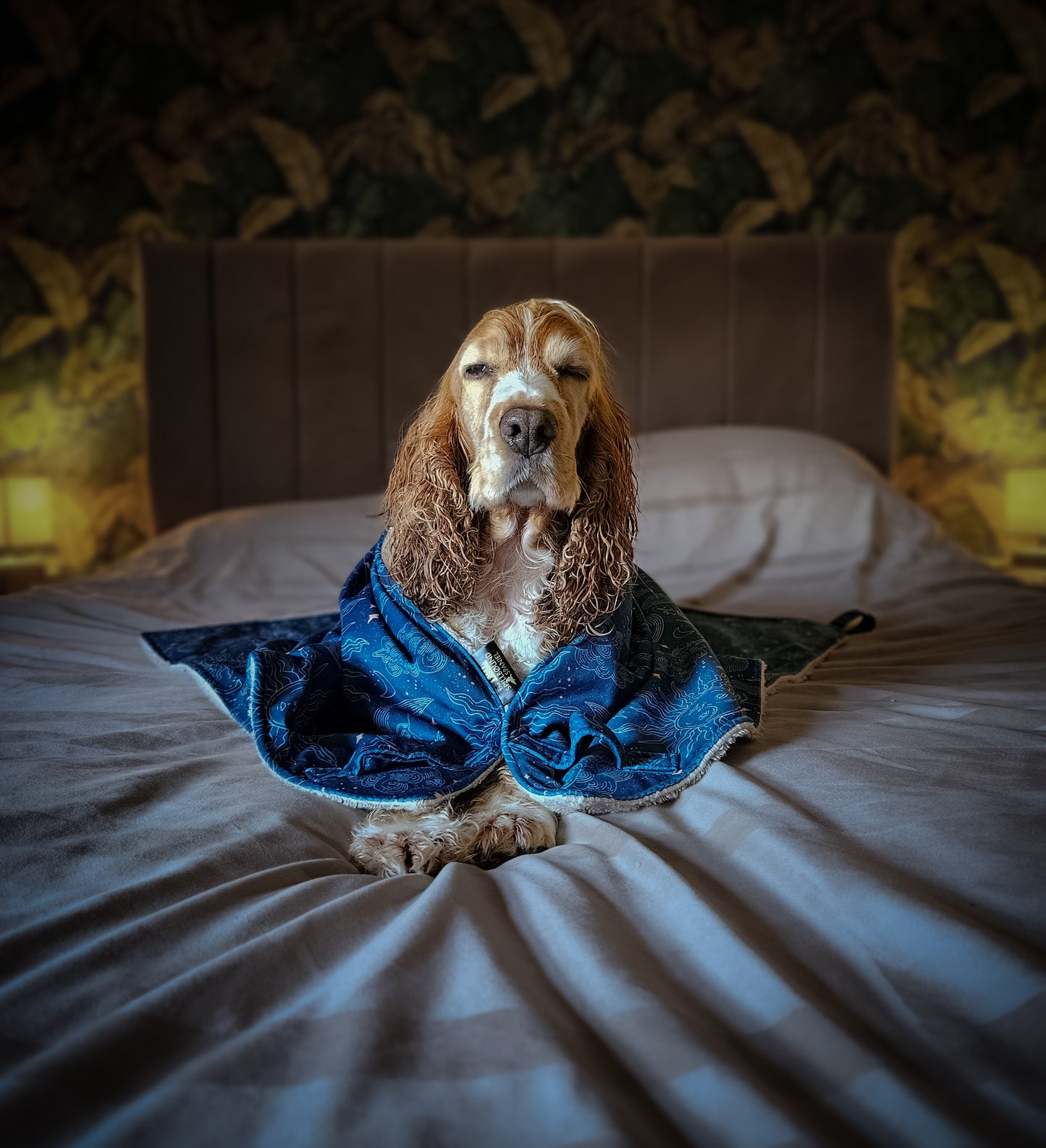 Luxury Dog Towel