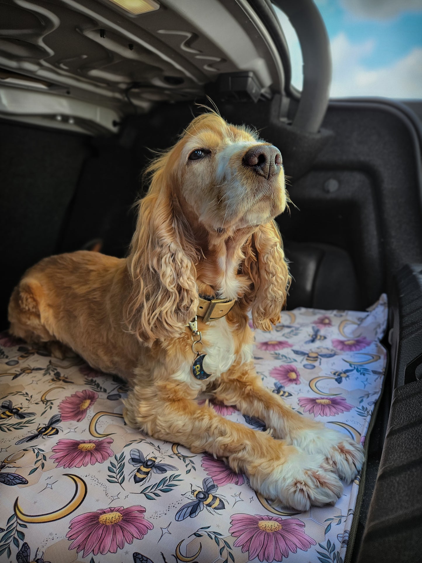 REP TAKEOVER Luxury Dog Car Mats