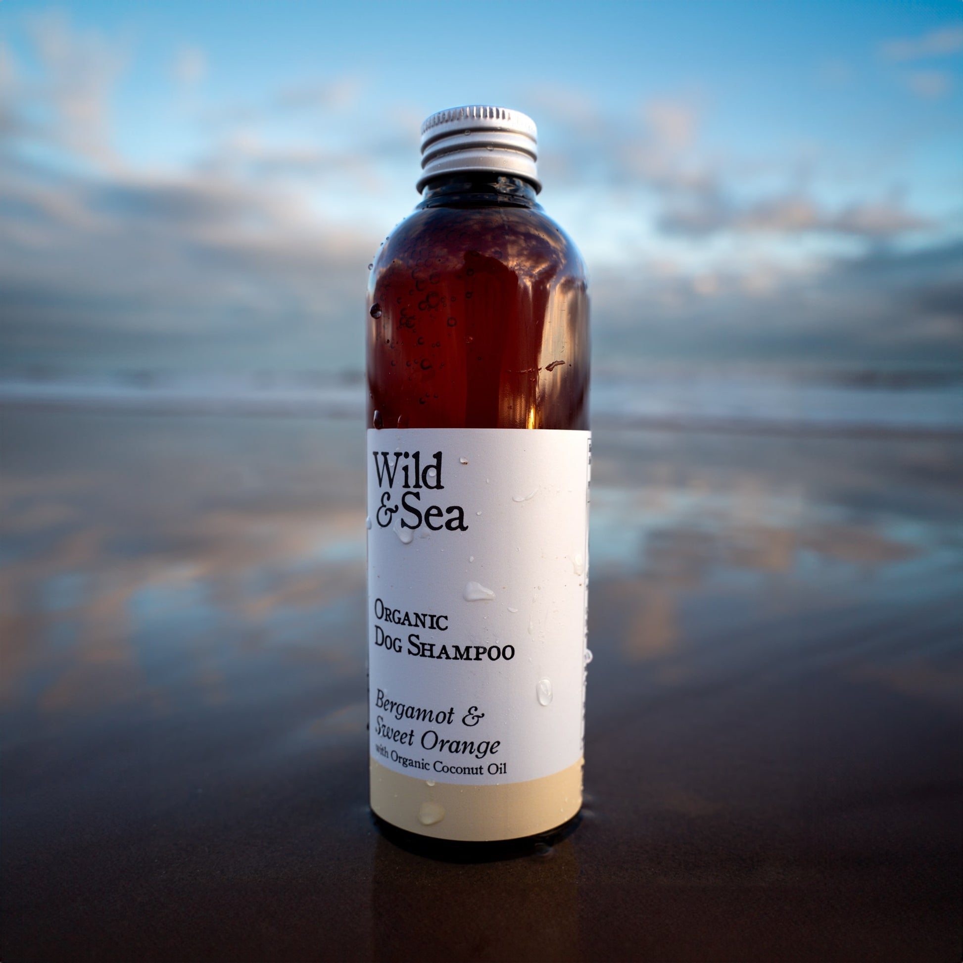 Wild & Sea bergamot and sweet orange organic shampoo for dogs.